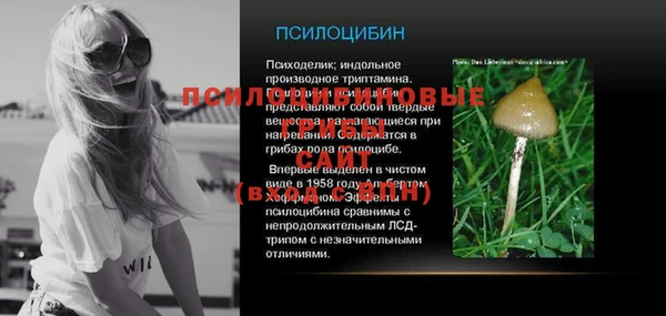 ГАЛЛЮЦИНОГЕННЫЕ ГРИБЫ Арсеньев