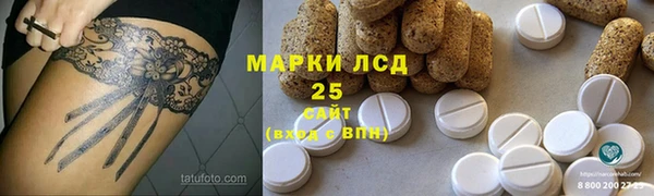 apvp Аркадак