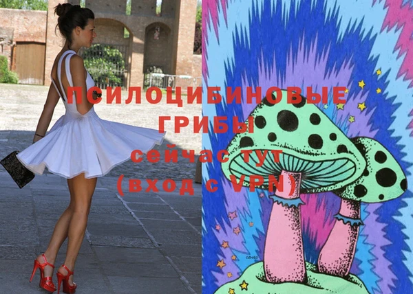 apvp Аркадак