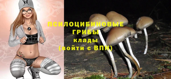 ГАЛЛЮЦИНОГЕННЫЕ ГРИБЫ Арсеньев