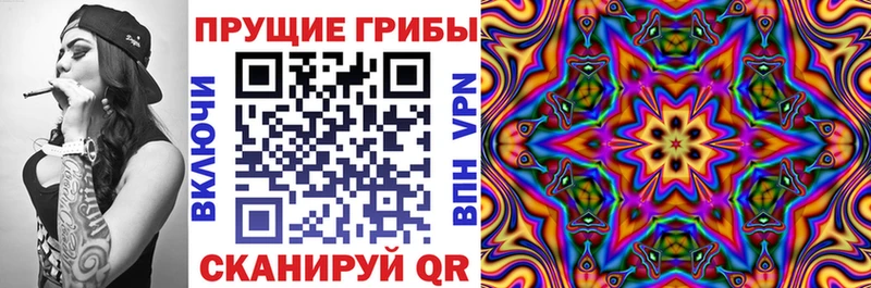 Псилоцибиновые грибы Psilocybe  Мышкин 